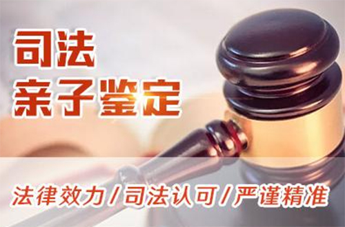 成都司法DNA鉴定多少钱,成都专业司法亲子鉴定中心