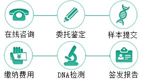 成都同父异母半同胞鉴定